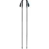 Black Diamond Trekkingstöcke Distance Z, Fitnessgerät (grau, 1 Paar, 110 Cm) -Alternate Verkäufe Black Diamond Trekkingst cke Distance Z Fitnessger t@@1791020
