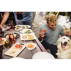 Campingaz Attitude 2100 EX, Gasgrill -Alternate Verkäufe Campingaz Attitude 2100 EX Gasgrill@@1crcm00w 17