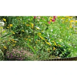 GARDENA Beeteinfassung, 20cm Hoch, Begrenzung -Alternate Verkäufe GARDENA Beeteinfassung 20cm hoch Begrenzung@@9wihzu17 3