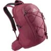 Gregory Kiro 22, Rucksack (violett, 22 Liter)