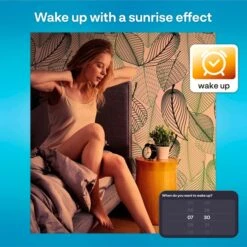 INNR WiFi Filament Vintage Globe E27, LED-Lampe 11 INNR WiFi Filament Vintage Globe E27, LED-Lampe -Alternate Verkäufe INNR WiFi Filament Vintage Globe E27 LED Lampe@@1848141 4