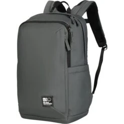 Jack Wolfskin SMILEYWORLD BACKPACK, Rucksack (grüngrau, 22 Liter)