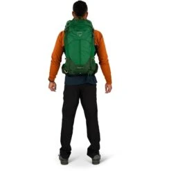 Osprey Stratos 24 , Rucksack (grün, 24 Liter) -Alternate Verkäufe Osprey Stratos 24 Rucksack@@100031534 6