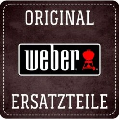 Weber Drehspieß-Motor Für Spirit/ Genesis/ Summit/ Holzkohle (schwarz)