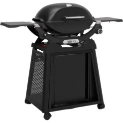 Weber Gasgrill Q 2200N Mit Premium-Rollwagen (schwarz, 4,10 KW, Mit Seitentischen)